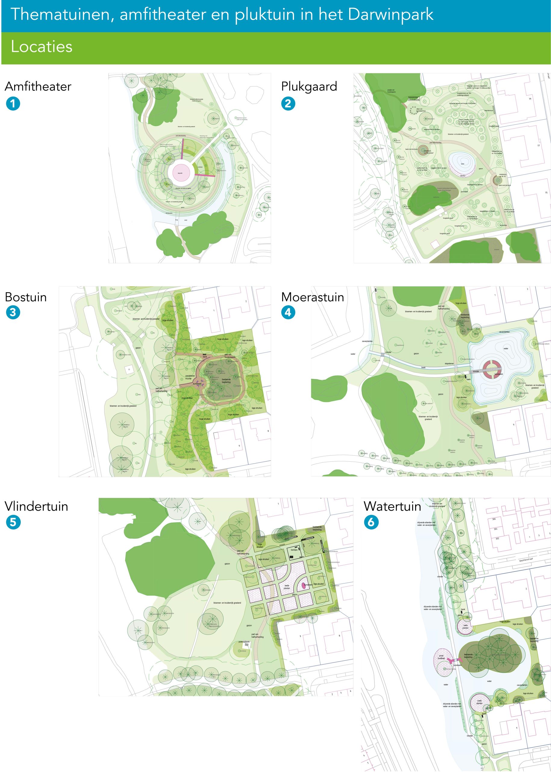Thematuinen Darwinpark - Definitief ontwerp - foto 2 Thematuinen Darwinpark - Definitief ontwerp - foto 2