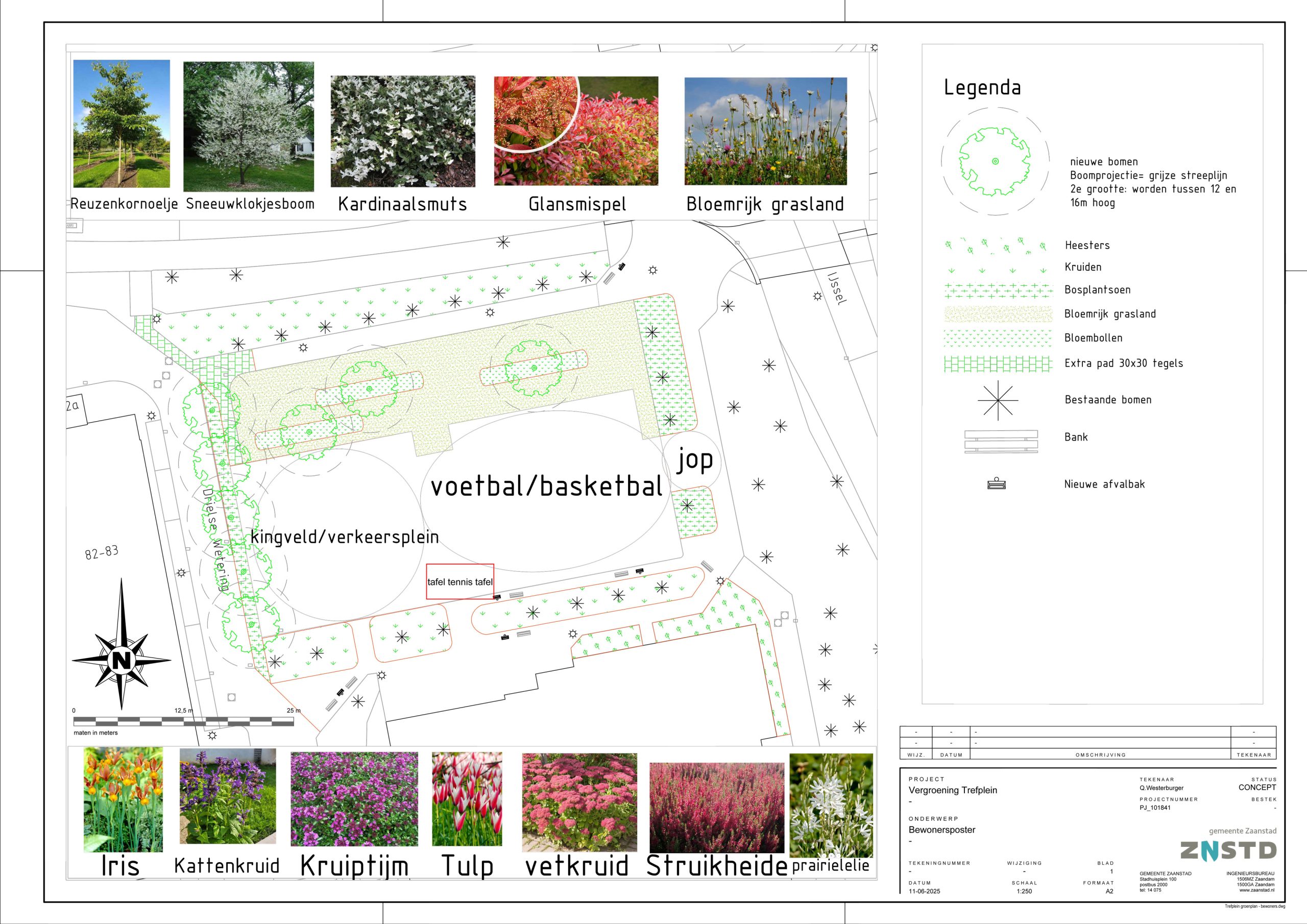 Trefplein definitief ontwerp bewoners Trefplein definitief ontwerp bewoners