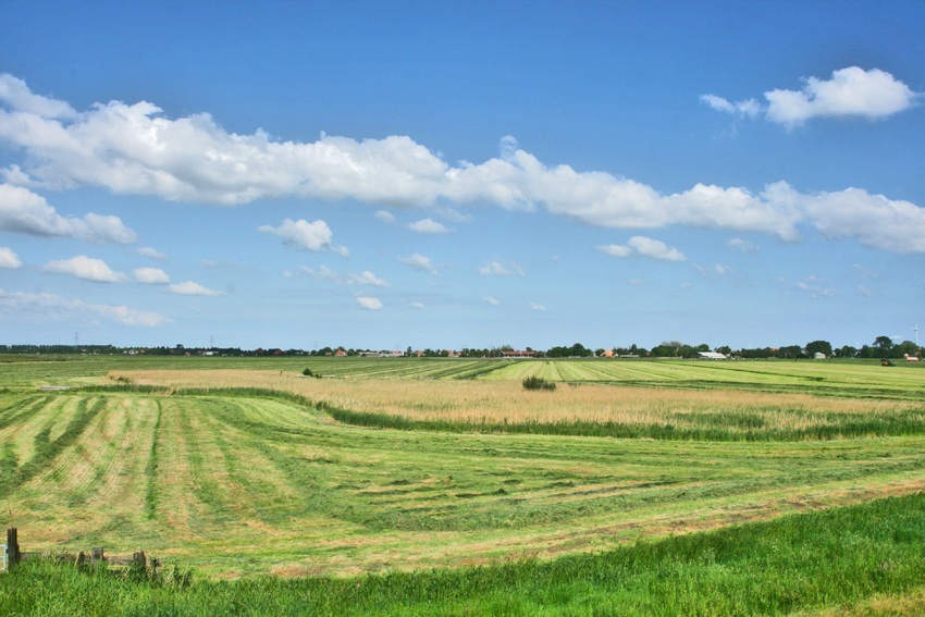 Polder Assendelft