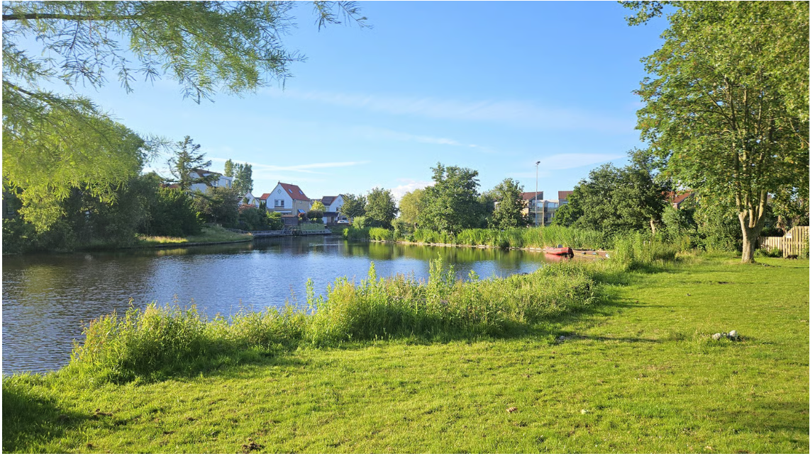 Natuurvriendelijke oevers