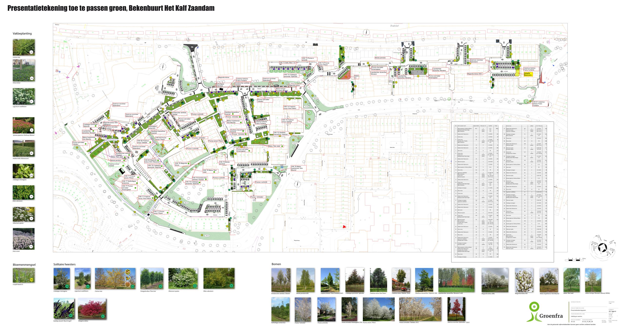 Presentatietekening toe te passen groen Bekenbuurt